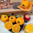 용남농장 이미지