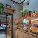 빵트리 | 울산 오션뷰 카페 추천 | 울산 빵 맛집 | 《도우트리 베이커리에서 힐링하고 온 솔직 후기》