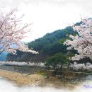 우화등선 이미지