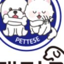 펫티즈 이미지