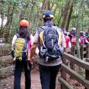 돈내코로 이미지