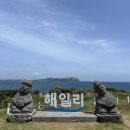세븐일레븐서귀포성산한도점 | [제주 성산 카페]해일리카페 성산일출봉 오션뷰, 맛 내돈내산 솔직후기