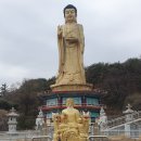 옥룡사지 | 광양 옥룡사지 동백나무숲
