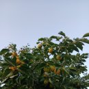 황토현마을 이미지