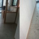 초록애견샵 이미지