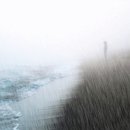 사람과나무 이미지