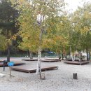 백담고을캠핑장 이미지