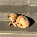 그린브릭 | 강릉독채펜션 | 가족여행으로 추천드리는 감성 낭낭한 신상 숙소 그린브릭 [내돈내산,강추]