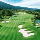 파인비치 이미지