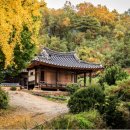영주 일우정 Daum카페
