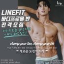 라인핏 이미지