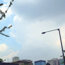 픽업(Pickup) 이미지