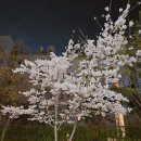 한남동 주민센터 다목적실 | 한남동 예쁜 카페, 영화에 나올 것 같이 아름다운 원인어밀리언(one in amillion) 방문 후기