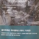 플로망