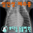 보다듬동물병원 네이버블로그