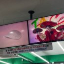 7번가피자홍대점 이미지