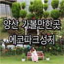 에코파크성지