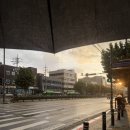 YH산업 | 다이렉트결혼준비 포인트 페이백 현실 [웨딩준비 3개월차]