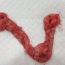 용호동물병원 이미지