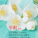 평화공인중개사사무소 네이버블로그