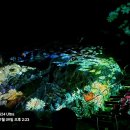 광명동굴 이미지