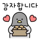 차고치는집 이미지