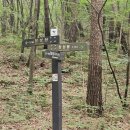 정기나무골 이미지