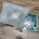 뚱땅뚱땅 | 강아지 노즈워크 뚱땅뚱땅 오뚜기 장난감, 강아지 간식볼 추천 후기!