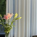 만성로2 이미지