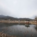 죽동제 이미지
