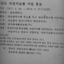 2017년 대전시 자전거보험가입안내 이미지