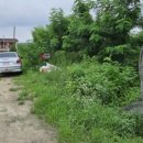 소당 한옥 펜션 이미지