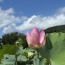 부산시설공단 곰내지소 이미지