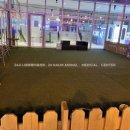 세인트존스 동물병원 이미지