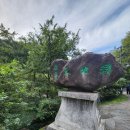 제주 천지연 난대림 이미지