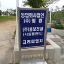 하늘대로 이미지