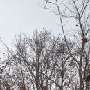 수산리마을회관 이미지