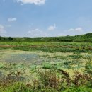 봉성축산 이미지