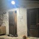 제주도조아 이미지