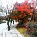 수학놀이터수학교습소 이미지