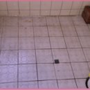 장유환경 이미지