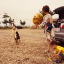 오션바이브 이미지