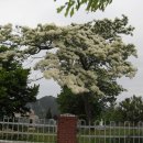 강진도암초등학교 이미지