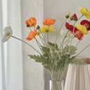 초지중학교 앞 이미지