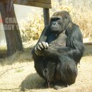 서울대공원 이미지