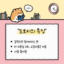 고양이미용실 나른하냥