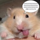 풍류관 네이버블로그