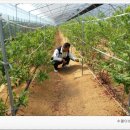 수열농장 이미지