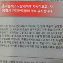 샤인 헤어칼라