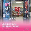 둘이약국